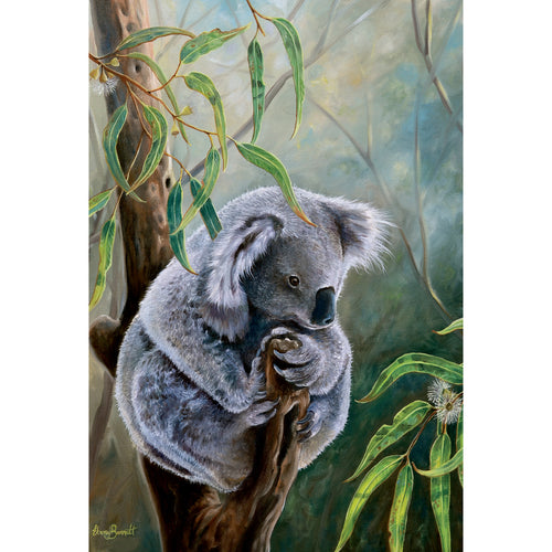 EB02 Amongst The Gumleaves (Australian Koala)