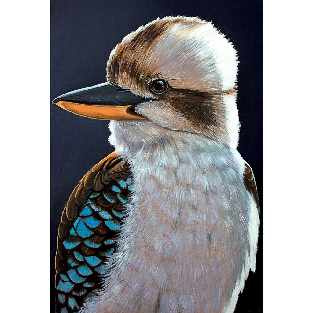 EB26 Harry (Australian Kookaburra) – Art Publishing Australia
