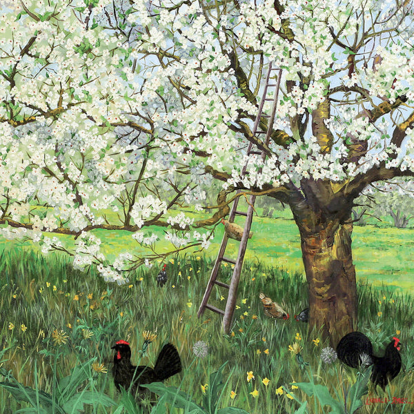 Spring Blossom