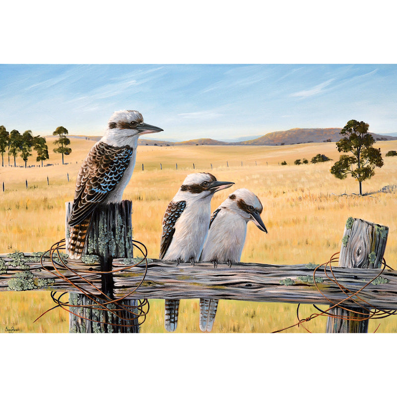 EB22 Grassland Gathering (Australian Kookaburras)