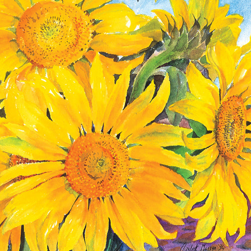 EM03G Sunflowers