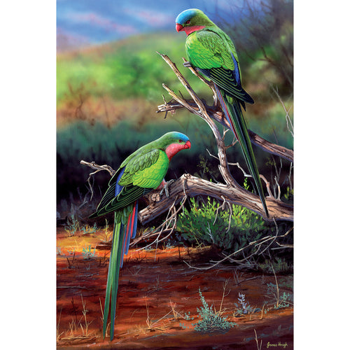 JMH08 Outback Splendour (Australian Princess Parrots)