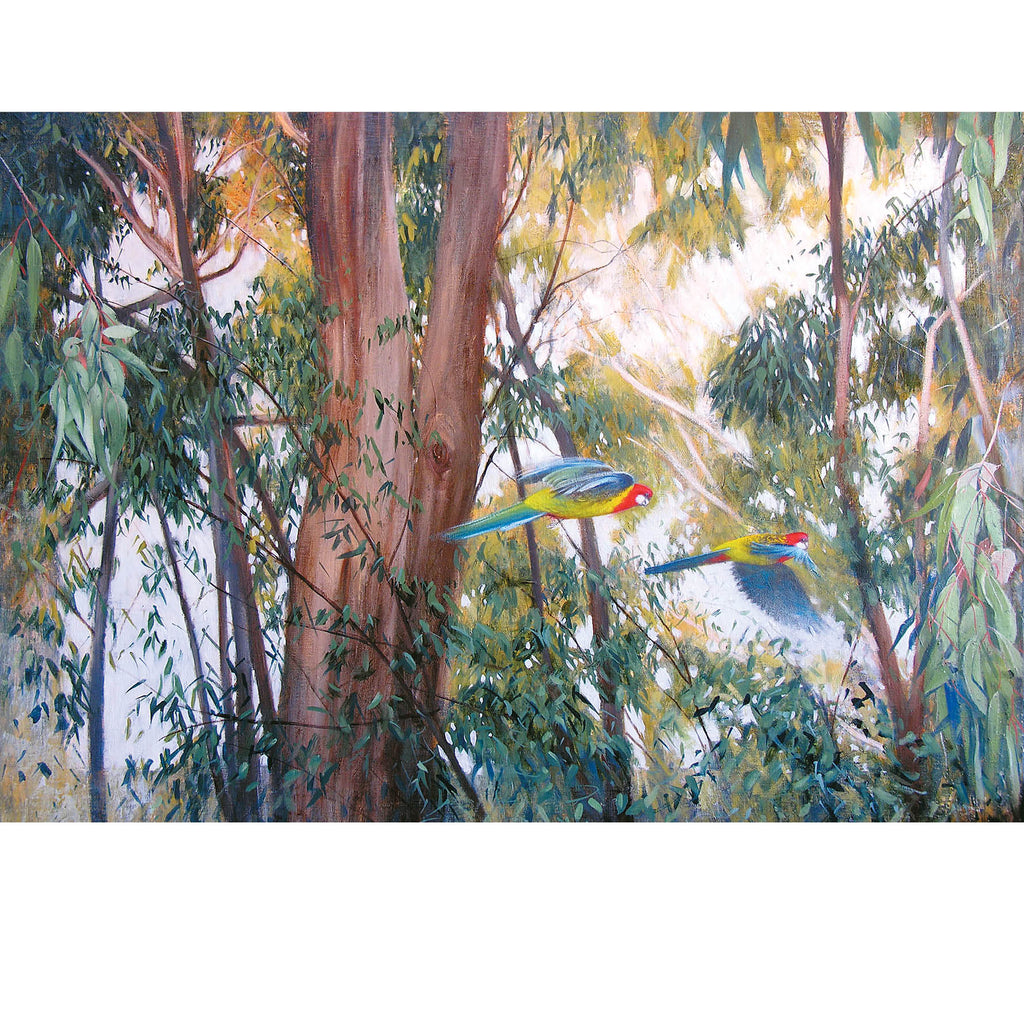 PA20 Australian Eastern Rosellas – Art Publishing Australia