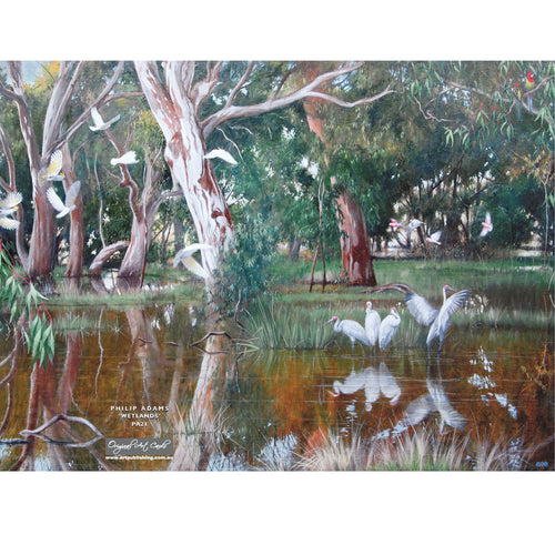 PA21 Australian Wetlands