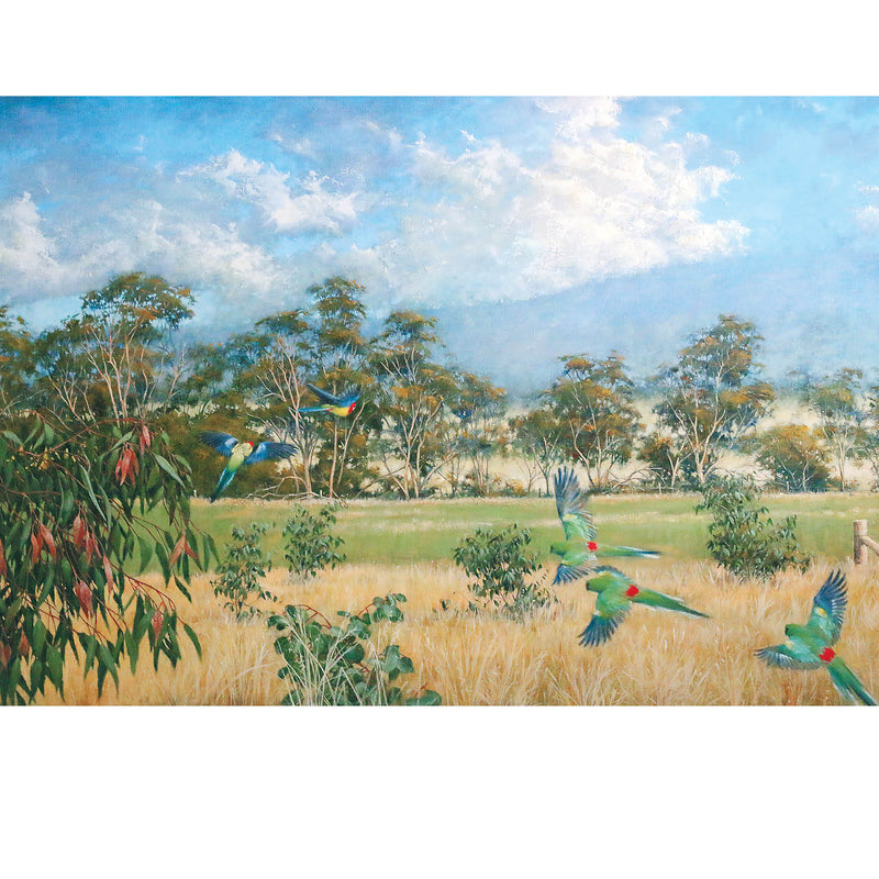 PA22 Australian Parrots In The Landscape